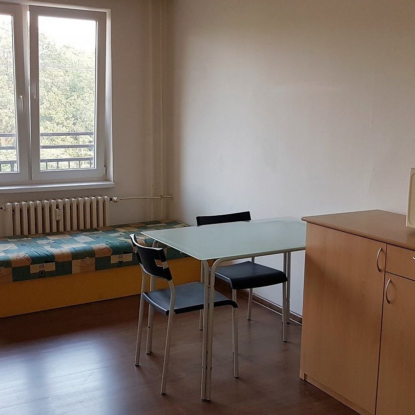 Pronájem bytu 1+kk 29 m² - Photo 1
