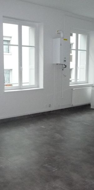 Location Appartement 1 pièce 45m² ST ETIENNE 42100 - Photo 2