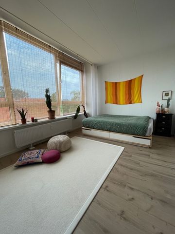 Studio Pelikaanstraat – Assen - Photo 2