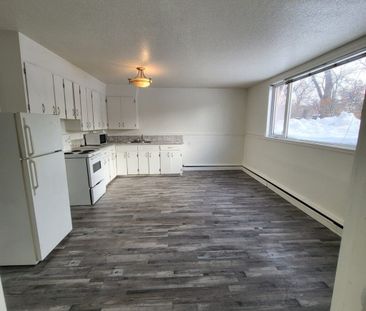 1424 College Avenue, Regina - Photo 2