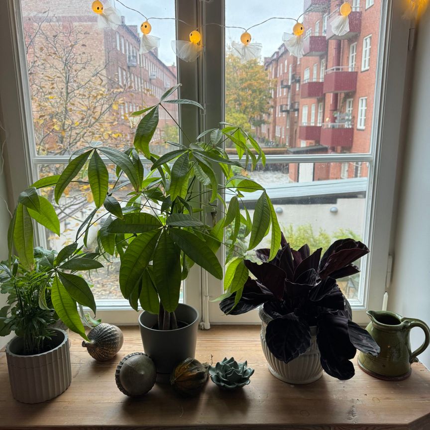 Centrala Malmö - Photo 2