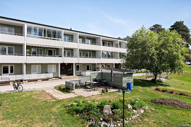 Floragatan, Kalix - Foto 1