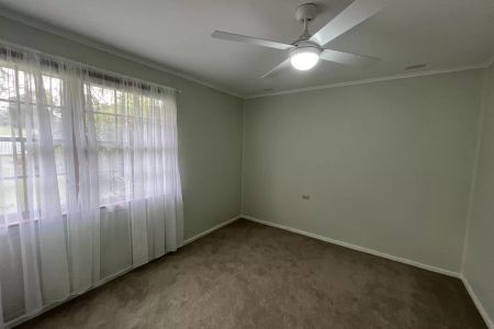 Cute As a Button - Photo 3