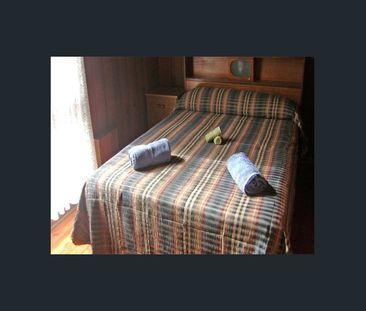 Light filled pet friendly 4 bedroom 2 bathroom brick house backing ... - Photo 5