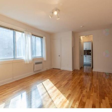 cessation de bail côtes-des-neiges 3 1/2 - Photo 3