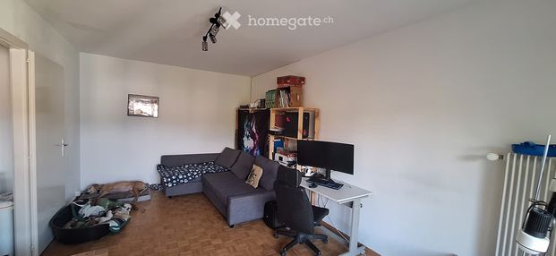 2.5 Zimmer - Photo 1