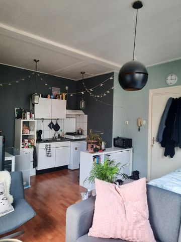 Zuidvliet 230B - Photo 5