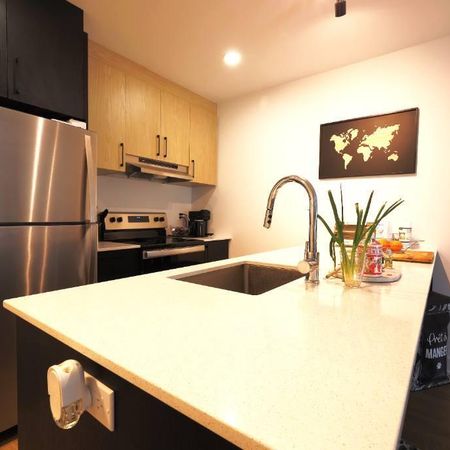 3 1/2 Longueuil animaux autorisés! - Photo 3