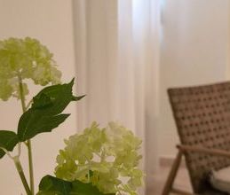 Studio/Γκαρσονιέρα για ενοικίαση - Λουτράκι-Περαχώρα, - Photo 2