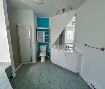59 Rue Galipeau - Photo 4
