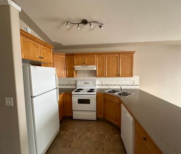 Spacious 2 Bed Apartment + Covered Parking included - Pet Friendly - Photo 4