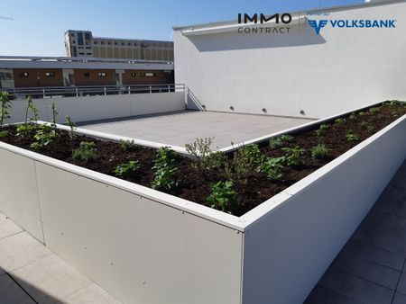 SEHR SCHÖNE 2-ZIMMERWOHNUNG MIT BALKON/ LOGGIA MIT STADTBLICK UND TG-PLATZ - Photo 3