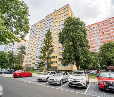 Praktický a světlý byt 1+1 30 m - Fotografie 4
