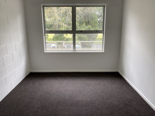 Tidy Flat in Hamilton East - Hamilton East - Photo 1