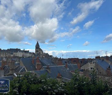 Location Appartement 1 pièce 15m² BLOIS 41000 - Photo 5