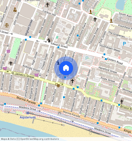 Basement Flat, 1 Knights Templar Way, BN2 1QE, Upper Rock Gardens