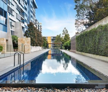 One Bedroom Apartment with Oversized Courtyard - Photo 6