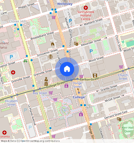 ** Grenville Street Unit# 3310, Ontario, Toronto C01