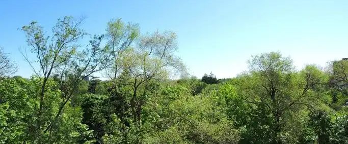 3089 Jaguar Valley Drive | 3089 Jaguar Valley Drive, Mississauga - Photo 1