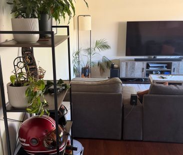 Bondi Beach - Photo 5