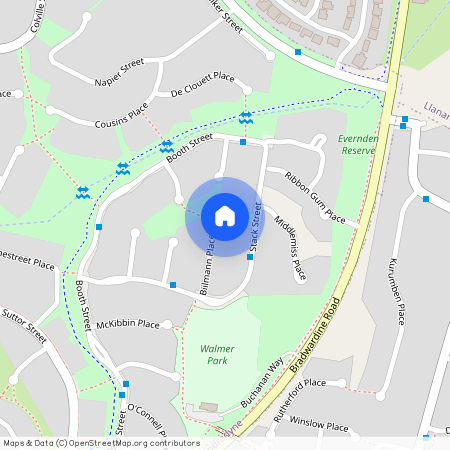 46 Biilmann Place, 2795, Windradyne Nsw