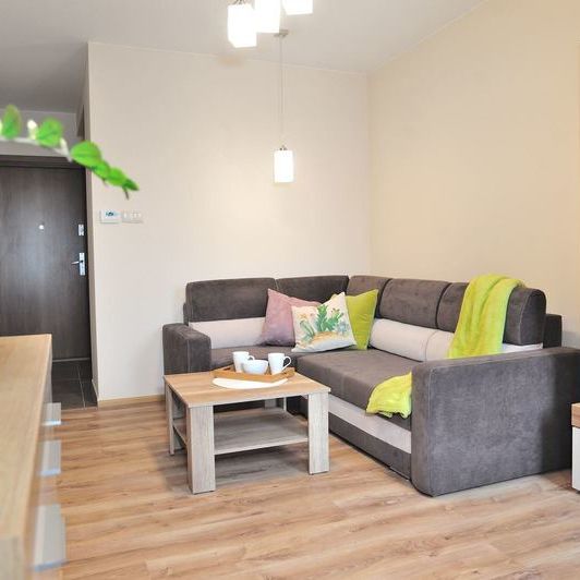 (Symbol 439841) MIESZKANIE na WYNAJEMSzczecin, Niebuszewo 2 pokoje w idealnej lokalizacji - ul. Sikorskiego - Photo 1