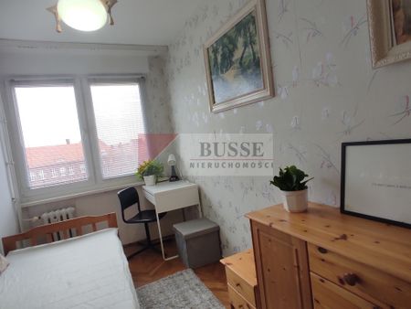 2 pok.mieszkanie, balkon, piwnica, winda w bloku - Zdjęcie 2