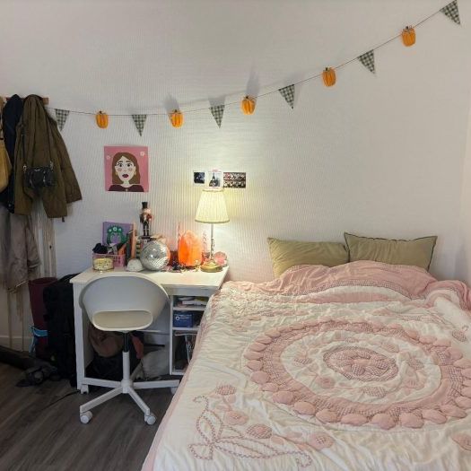 Appartement à louer, 1 pièce - Angers 49100 - Photo 1