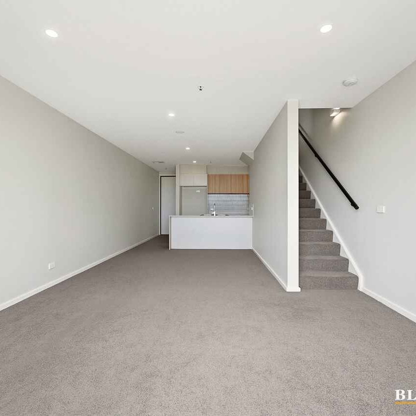 Modern North-Facing Townhouse - Photo 1