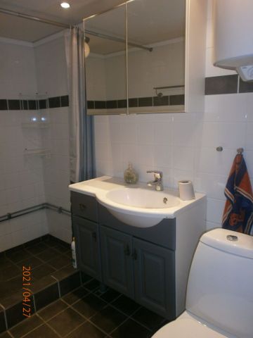 Gamla berget, Falun - Photo 4