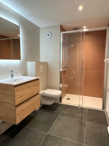 Appartement 2 pièces à Strasbourg - Photo 2