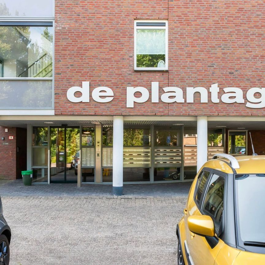 Appartement te huur: Plantageweg 19 3333 GZ Zwijndrecht - Photo 1