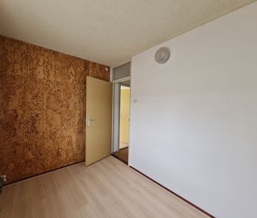 Te huur: Kamer Meijhorst 5049 02 in Nijmegen - Foto 3