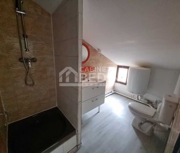 Location Appartement T1 Toulouse 1 chambre - Photo 3