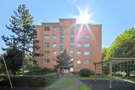 2 ½ Zimmer-Wohnung in Wetzikon mieten - Foto 2