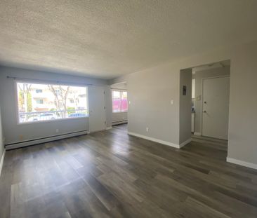 Princeton Manor - Photo 3