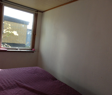 Paragrafgränden, Lund - Photo 2