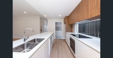 Brand New 4 Bed 2 Bath home with Modern Comforts - Photo 4