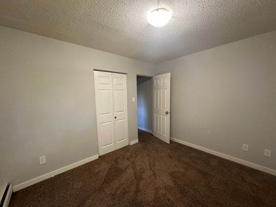 SPACIOUS 2 Bedroom APARTMENT!! GREAT LOCATION Downtown!!! - Photo 1