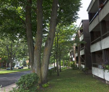 1 1/2 Ste-Foy - Tout inclus - près du cégep Garneau - juillet - Photo 1