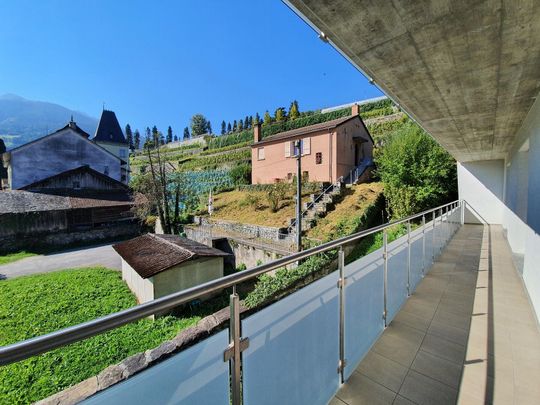 Beautiful 4.5-room apartment with terrace in the city center - Foto 1