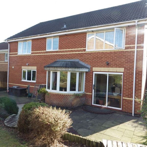 The Spinney - Photo 1