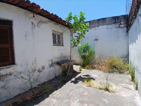 MARAPONGA - CASA - R HOLANDA, 442 - Foto 3