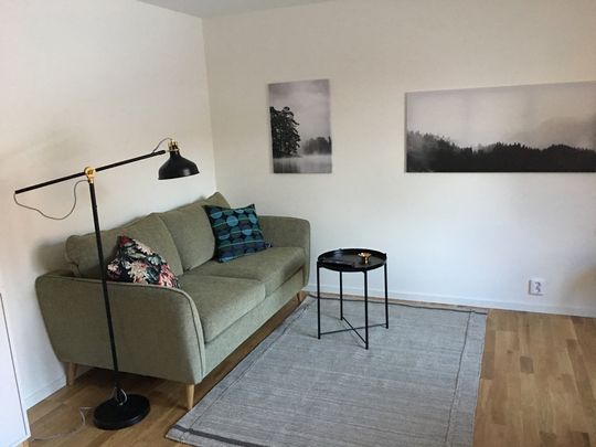 Mor Wingmarks gränd, Hägersten - Foto 1