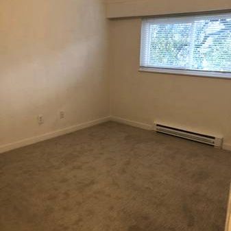 One Bedroom Apartment in Esquimalt! New paint and flooring! - Photo 3