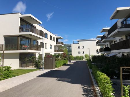 2.5 Zimmer, 66 m², EG - Foto 3