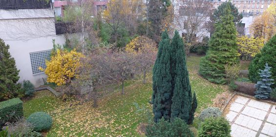 Location studio Hespérides Montrouge - Photo 3