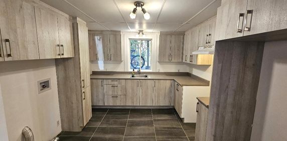 Beau 4 ½ dans un demi sous-sol ! Disponible dès maintenant ! - Photo 2