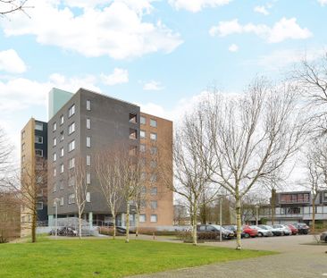 Bastenakenstraat 172 - Photo 3