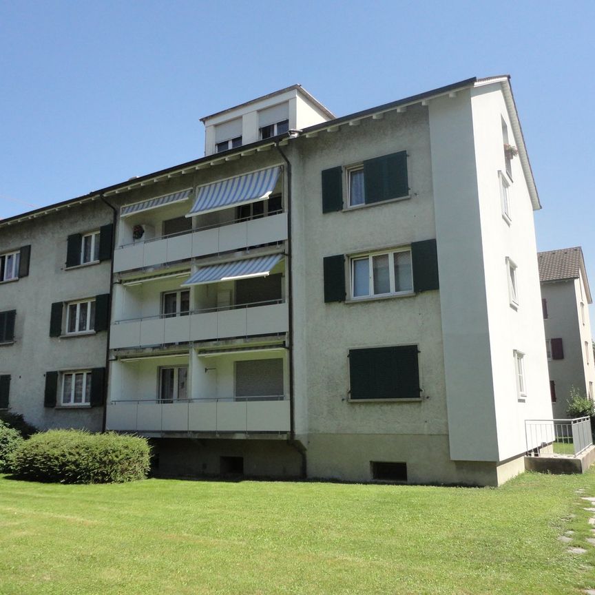 Charmante Wohnung in Muttenz zu vermieten - Foto 1